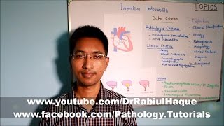 Infective Endocarditis Part 1 HD [upl. by Kcirddet]