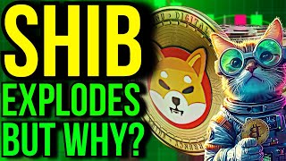 PAY ATTENTION THIS IS WHY SHIBA INU COIN JUST PUMPED amp WILL PUMP AGAIN [upl. by Enytsirhc]