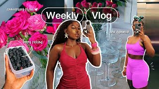 WEEK VLOG There’s alot going on AMAZING NEWS TO SHARE HARD TO PROCESS THIS  ANNIVERSARY PLANNING [upl. by Dragoon]