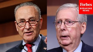 Schumer Compares His Leadership Favorably To McConnnells Saying The Former Used A Closed Fist [upl. by Nomrac]