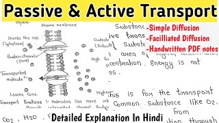 Passive And Active Transport  Simple Diffusion  Facilitated Diffusion  Cell Biology Notes [upl. by Erdnaid]