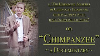 The Magnificent Lives of the Chimpanzees  Nat Geo Wild Documentary [upl. by Vickey]