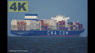 CMA CGM CARL ANTOINE  Shipspotting Germany 🇩🇪 IMO 9729087  River Elbe near City Otterndorf  4K [upl. by Noir816]