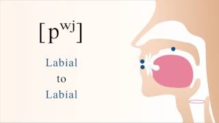 pʷʲ  unvoiced unaspirated labialized palatalized bilabial stop [upl. by Yerxa14]