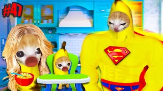 SUPER BANANA CAT COME BABY CAT HOUSE  Happy Cat Funny 47 [upl. by Frye]