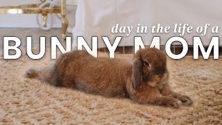 DAY IN THE LIFE OF A BUNMOM  new year new moon new vlog [upl. by Eerized]