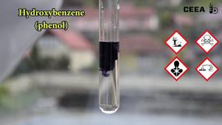 THE FERRIC CHLORIDE TEST FOR PHENOLS [upl. by Ateuqirne]