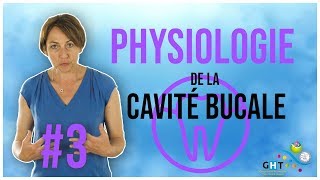 Physiologie de la Cavité Buccale  3  Formation Hygiène BuccoDentaire [upl. by Qidas]