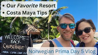 Norwegian Prima  Day 5  Costa Maya Tips Maya Chan Beach Resort Live Music on Prima [upl. by Briana944]