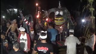 SAMBUT NYEPI TAHUN SAKA 1941 RIBUAN WARGA SELUMA TUMPAH RUAH ARAK OGOH OGOH [upl. by Jaynell]