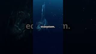 Mind Blowing Deep Ocean Facts facts spacemystery space spacecuriosity universe astronomy [upl. by Ellered]