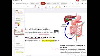 Bile Acid Malabsorption [upl. by Kleon825]