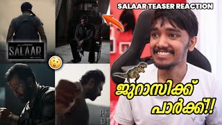 SALAAR TEASER REACTION😍😍 [upl. by Jobina]