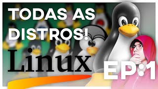 NAVEGANDO NO FUNDO DO MUNDO LINUX EP1 [upl. by Tlevesor]