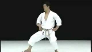 Kagawa Karate Kokutsu Dachi [upl. by Oman]