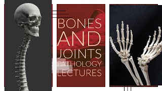 BONES AND JOINTS PATHOLOGY lecture 1 bone introduction and REMODELING very important to know [upl. by Ahsilem]