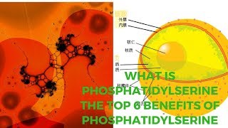 What Is Phosphatidylserine The Top 6 Benefits of Phosphatidylserine [upl. by Joela]