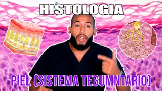 Histología  PIEL y Sistema TEGUMENTARIO Epidermis Dermis Keratinocitos Melanocitos [upl. by Yoo428]