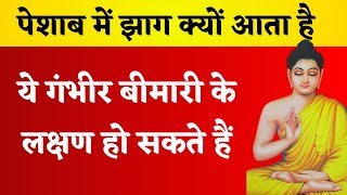 पेशाब में झाग क्यों आता है ये गंभीर बीमारी के लक्षण हो सकते हैं healthytips health [upl. by Noleta]