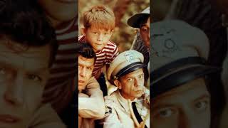 Mayberry RFD History WHY WAS IT CANCELLED shorts andygriffith smalltownlife [upl. by Lupee]