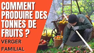 COMMENT PRODUIRE DES TONNES DE FRUITS DANS SON VERGER FAMILIAL [upl. by Eneryt738]