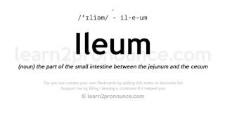 Pronunciation of Ileum  Definition of Ileum [upl. by Suirtemed483]