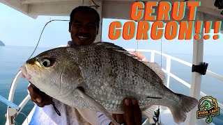 VLOG 328  GERUT GORGON  PULAU AMAN  ULTRALIGHT ANGLER NEVER DIES [upl. by Ajan16]