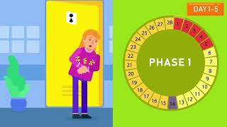 Your Menstrual Cycle Explained [upl. by Saleem]