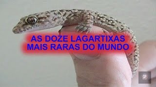 AS DOZE LAGARTIXAS MAIS RARAS DO MUNDO [upl. by Murvyn]