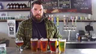 JUST THE TIP CRAFT BEER for beginners [upl. by Ebag629]