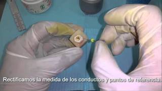 Endodoncia de principio a fin quotPráctica de Laboratorioquot [upl. by Euqinomad]