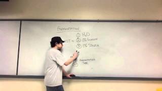 Lab Review  Fermentation Unit 9 Respiration [upl. by Ciredec421]