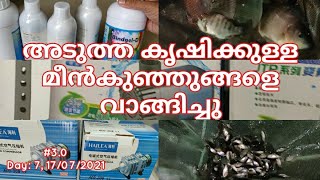 മീൻകുഞ്ഞുങ്ങളെ വാങ്ങിച്ചു  Aquaponics  hydroponics  fish farming  aquaponics malayalam [upl. by Ahsiekar749]