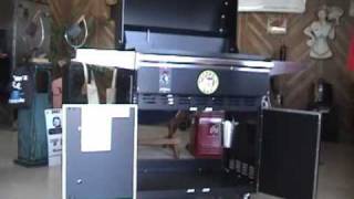 BadBobs Traeger BBQ 300 Wood Pellet Smoker Review [upl. by Damali]