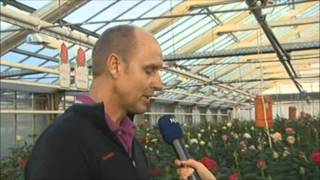 NDR Schleswig Holstein zu Gast bei Rosen Kordes 26102012 [upl. by Fremont]