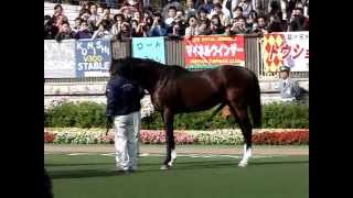 トウカイテイオーが東京競馬場にやってきた！ [upl. by Cari]