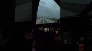 Airbus A320 landing cockpit view [upl. by Tull]