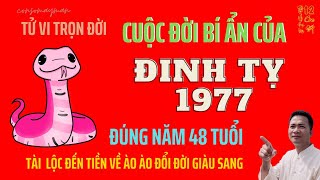 TỬ VI – Cuộc Đời Đinh Tỵ 1977 – Đúng Năm 48 Tuổi Được Lộc Trời Cho Giàu Nứt Vách – Consomayman [upl. by Duvall]