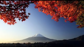 3 HOURS of the Best Traditional Japanese Music  Relaxing Music for Stress Relief and Healing [upl. by Dave]