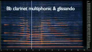 Sonograms Of Clarinet Multiphonics [upl. by Anuska]