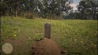 Red Dead Redemption 2  Kieran Duffy Grave Location [upl. by Renba]