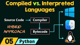 Difference Between Compiled vs Interpreted Programming Languages  Compiler vs Interpreter  Tamil [upl. by Nonez]