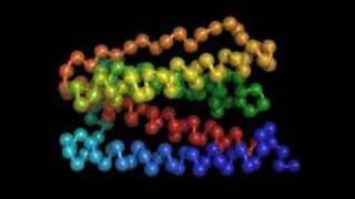 GCSF Protein Folding Illustration Movie [upl. by Eihs]