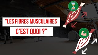 Les différents types de FIBRES MUSCULAIRES [upl. by Ahiel]