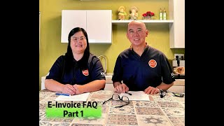 EInvoice FAQ Part 1 [upl. by Ahsoem]