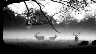 Battle of the Somme Bagpipes [upl. by Rosabella]