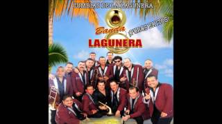 Banda Lagunera  Cumbias De La Lagunera Audio [upl. by Nimrak]