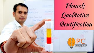 Phenols Part 5 Qualitative Identification Tests for phenols [upl. by Siger]