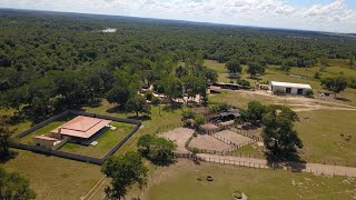 FAZENDA 1000 HECTARES COLOCA 1200 BOI CONFINAMENTO [upl. by Annaear516]