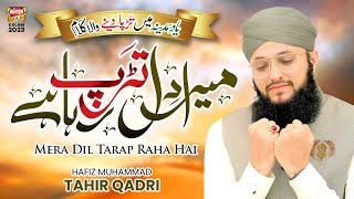 Hafiz Tahir Qadri  Mera Dil Tarap Raha Hai  New Heart Touching Naat 2023  Mujhe Le Chalo Madina [upl. by Anitnas]